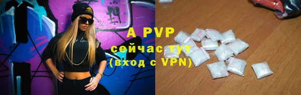 стаф Абинск