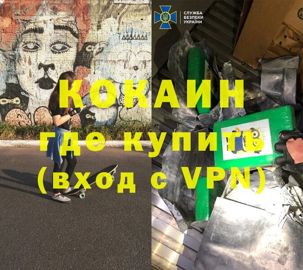 хмурый Алексин